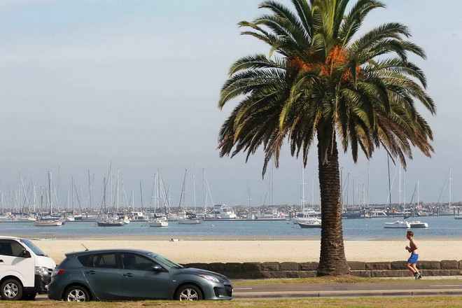 [Photo] Nao lòng trước cảnh đẹp cuối Thu trên đất Australia ảnh 12