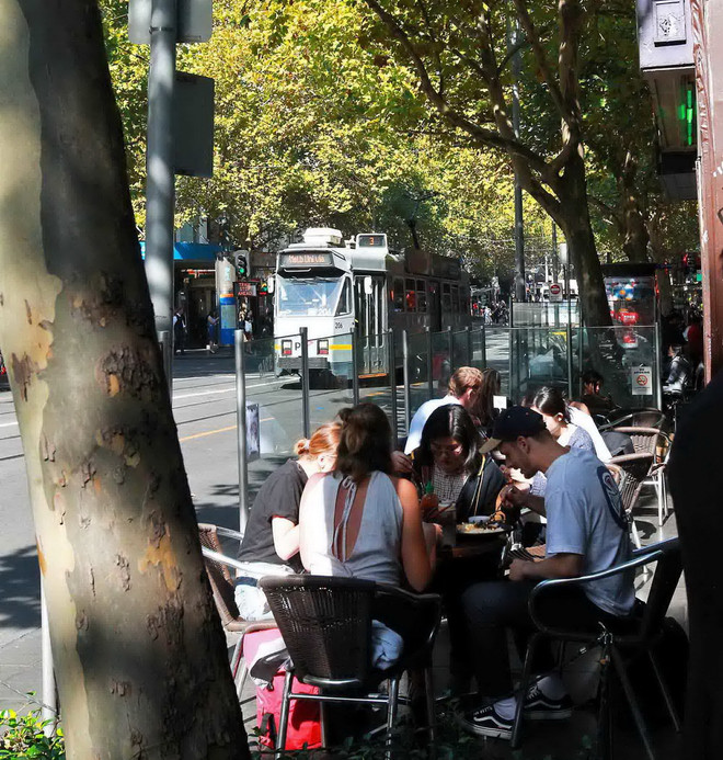 [Photo] Nao lòng trước cảnh đẹp cuối Thu trên đất Australia ảnh 13