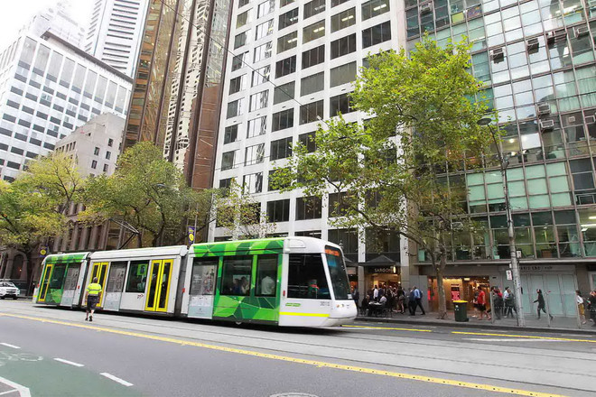 [Photo] Nao lòng trước cảnh đẹp cuối Thu trên đất Australia ảnh 8