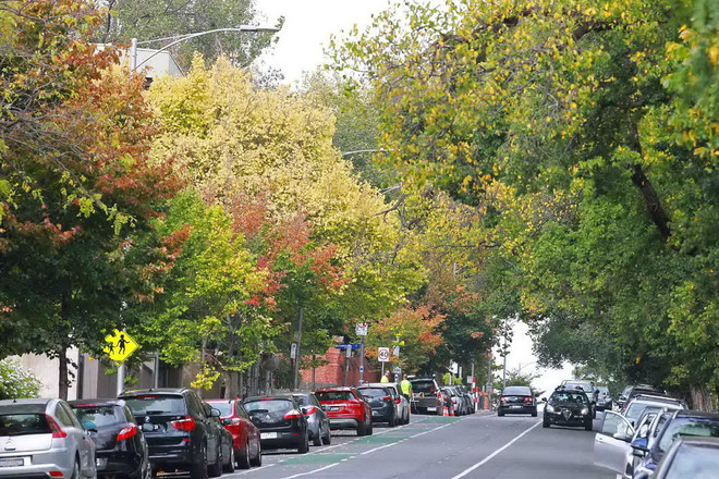 [Photo] Nao lòng trước cảnh đẹp cuối Thu trên đất Australia ảnh 6
