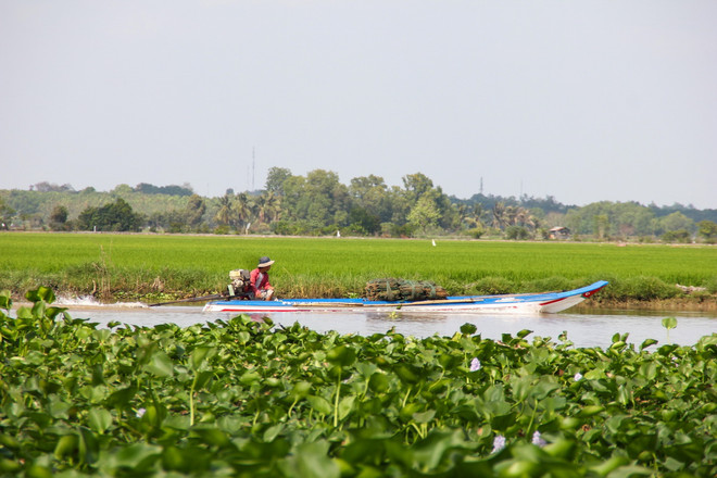 ttxvn_ho dau Tieng-Tay Ninh1.jpg