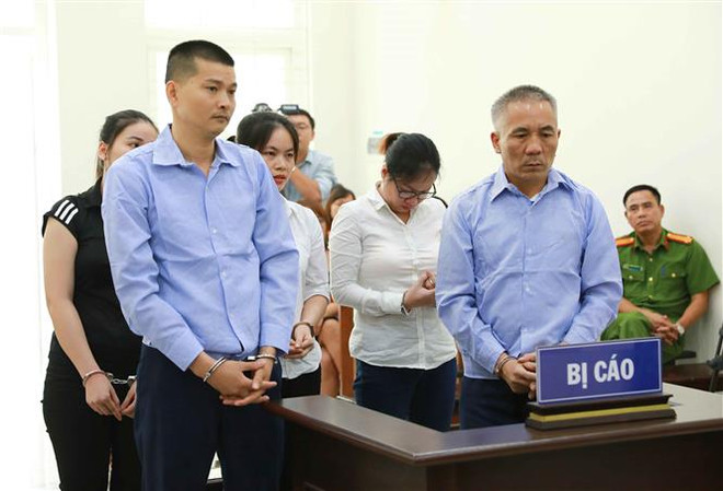 Hai đối tượng người Trung Quốc bị phạt tù vì tổ chức mang thai hộ ảnh 1