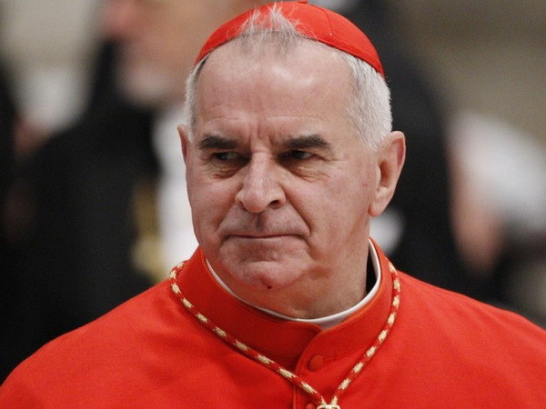 Vatican: Một Hồng y bị tước bỏ mọi quyền lợi vì lạm dụng tình dục ảnh 1