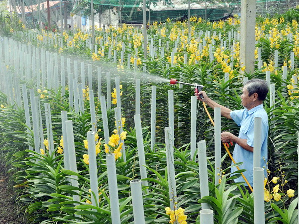 Định hướng công tác tuyên truyền về xây dựng nông thôn mới ảnh 1