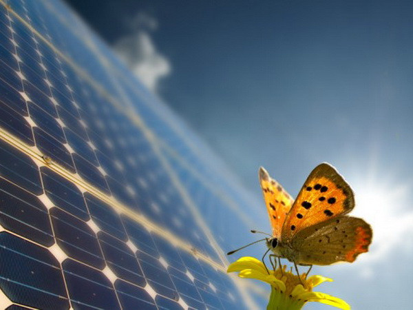 Đột phá công nghệ lọc ánh sáng lấy cảm hứng từ những cánh bướm ảnh 1