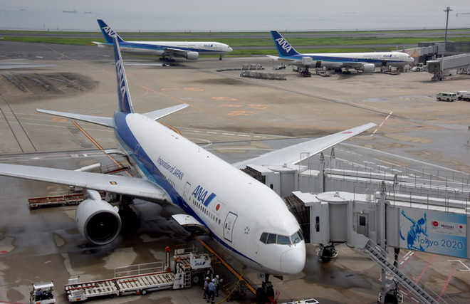 Nhật Bản: Hãng hàng không ANA hủy thêm hơn 300 chuyến bay nội địa ảnh 1