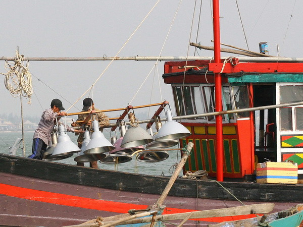 Ngư dân Quảng Trị quyết tâm bám biển, bám ngư trường ảnh 1