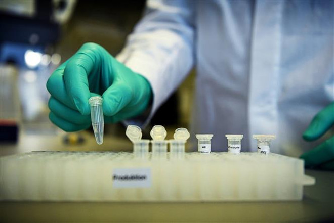 Thử nghiệm chế vắcxin tại Công ty CureVac của Đức. (Ảnh: Reuters/TTXVN) Anh hợp tác với hãng CureVac phát triển vắcxin ngừa biến thể mới ảnh 1