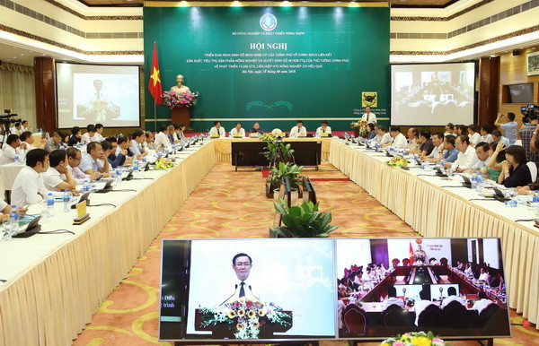 Hướng đến mục tiêu thành lập 15.000 hợp tác xã vào năm 2020 ảnh 2