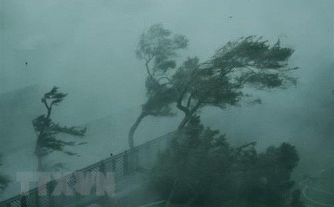 Tiền Giang: Các huyện ven biển Gò Công đang mưa rất to ảnh 1