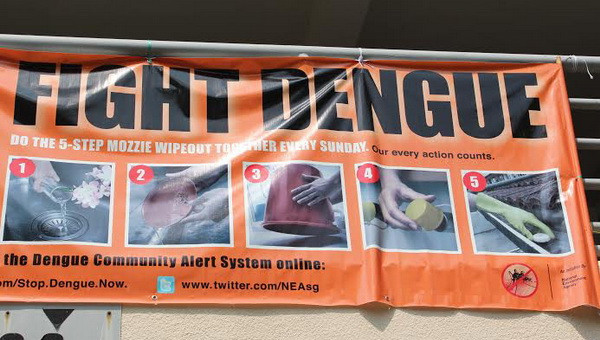 Hạn chế dịch sốt xuất huyết bằng phương pháp sinh học ảnh 1