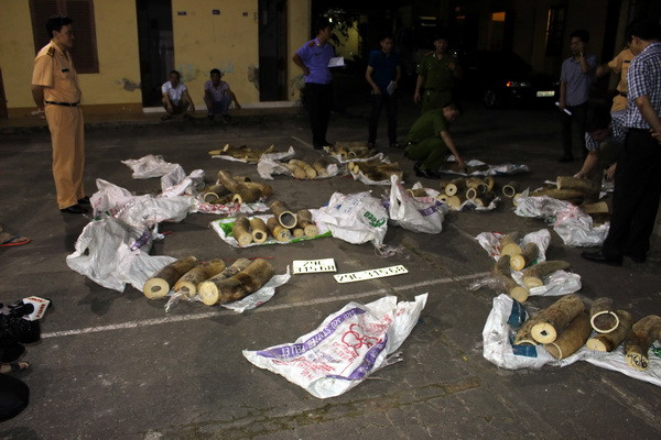 Bắc Giang: Bắt giữ đối tượng vận chuyển hơn 500kg ngà voi ảnh 1