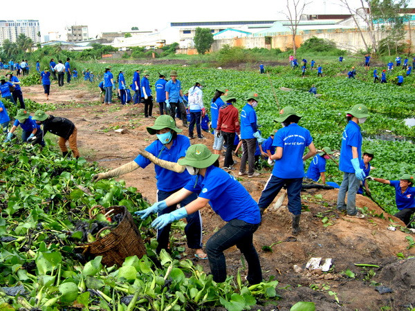 TP.HCM: Hơn 80.000 sinh viên tham gia chiến dịch Mùa hè Xanh ảnh 1