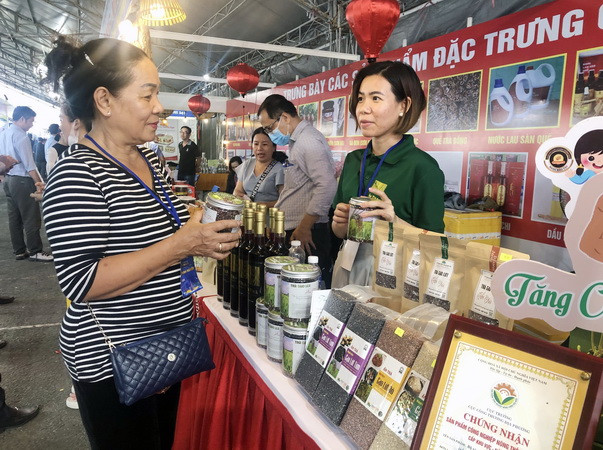 Kết nối cung cầu TP Hồ Chí Minh và các tỉnh, thành năm 2022 ảnh 2