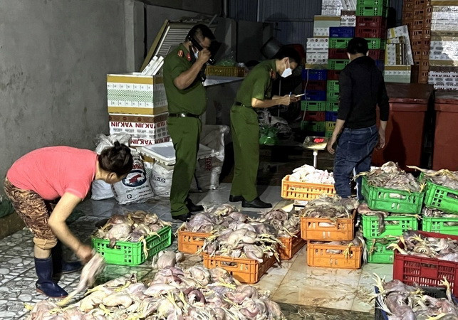 Đồng Nai: Bắt quả tang cơ sở sơ chế gà chết bốc mùi hôi thối ảnh 1