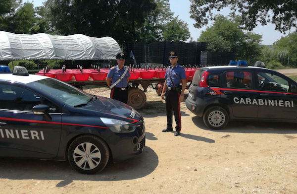 Italy phát hiện 42 người nhập cư bị bóc lột sức lao động ảnh 1