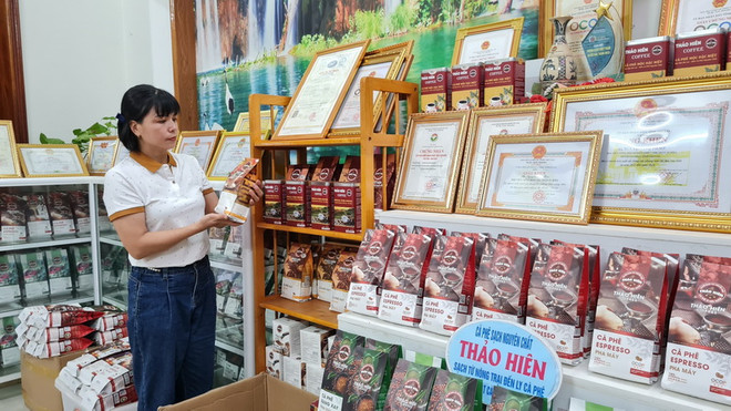 Gia Lai: Điểm đến hấp dẫn trong Tuần Văn hóa-Du lịch năm 2023 ảnh 2