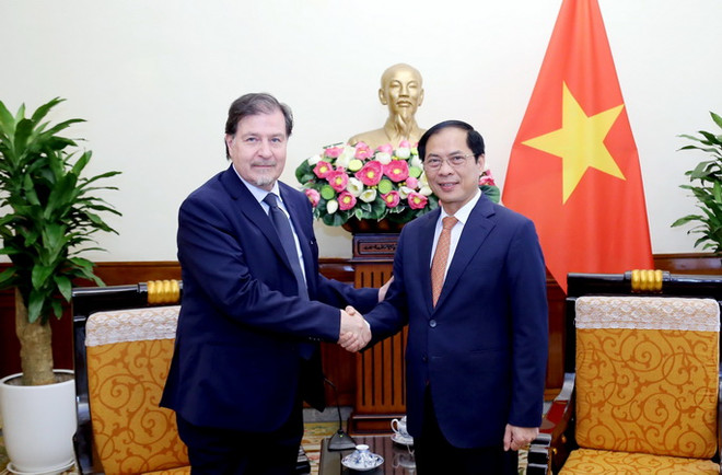 Tham khảo chính trị lần VII giữa hai Bộ Ngoại giao Việt Nam-Chile ảnh 1