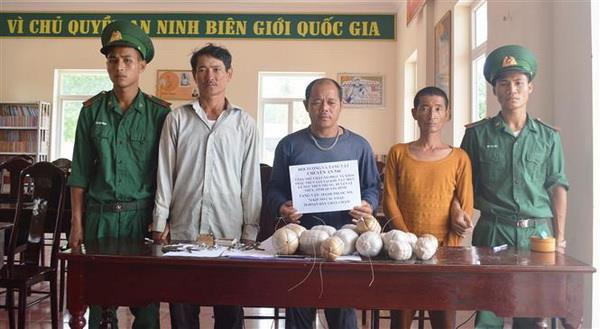 Phá thành công chuyên án dùng vật liệu nổ khai thác tận diệt hải sản ảnh 1