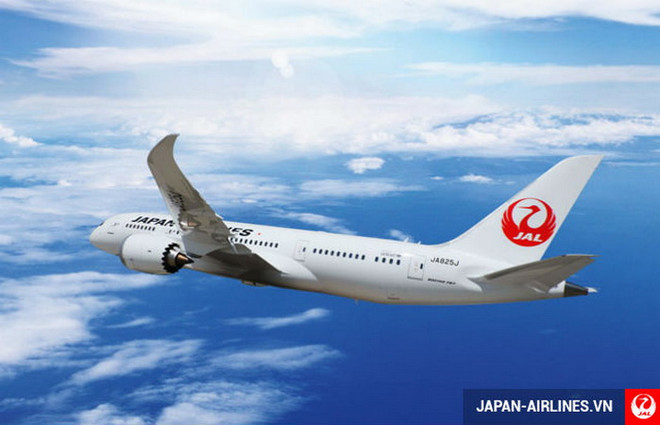 Japan Airlines sẽ nối lại toàn bộ các chuyến bay nội địa từ tháng 10 ảnh 1