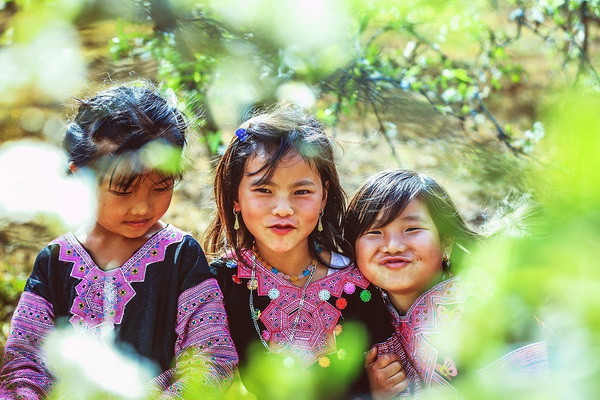 Các tỉnh miền Bắc tiếp tục nắng ấm trong ngày mùng 4 Tết ảnh 1