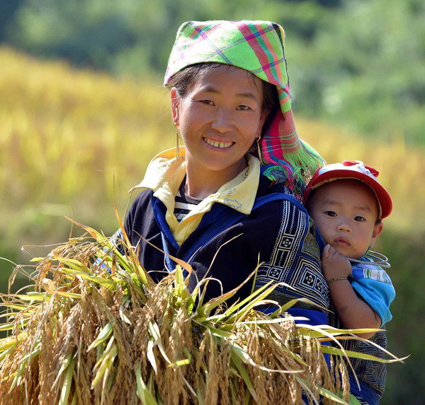 Tuần văn hóa-du lịch danh thắng ruộng bậc thang Mù Cang Chải ảnh 4
