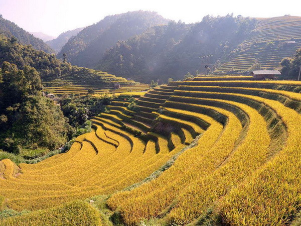 Tuần văn hóa-du lịch danh thắng ruộng bậc thang Mù Cang Chải ảnh 3