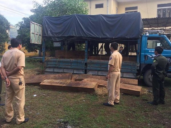 Thừa Thiên-Huế liên tiếp bắt các xe chở gỗ lậu trên Quốc lộ 1A ảnh 1