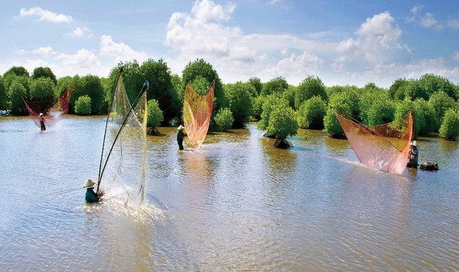 Phát triển nguồn nhân lực khoa học công nghệ vùng ĐBSCL ảnh 1