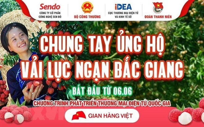 Xúc tiến thương mại trực tuyến: "Cánh tay phải của người khổng lồ" ảnh 1