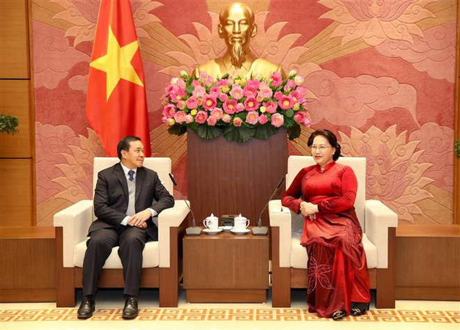 Chủ tịch Quốc hội Nguyễn Thị Kim Ngân tiếp tân Đại sứ Lào ảnh 1