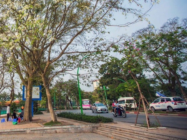 Bắc Bộ đầu tháng trời tiếp tục mát, trên biển đề phòng lốc xoáy ảnh 1