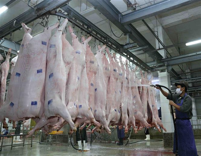 Ngành chăn nuôi chủ động được nguồn cung dịp cuối năm ảnh 2