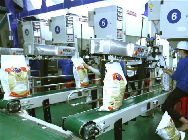 Làm rõ nguyên nhân giá gạo Việt Nam thấp nhất trong 12 năm qua ảnh 2