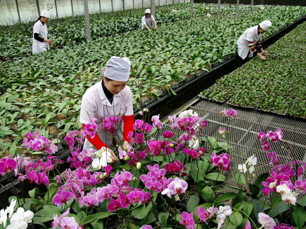 Kiến nghị đưa logistics trở thành ngành kinh tế mũi nhọn ảnh 2