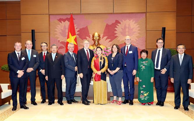 EP đánh giá cao sự sẵn sàng của Việt Nam với EVFTA và IPA ảnh 2