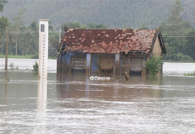 Lũ trên các sông từ Nam Quảng Bình đến Quảng Nam tiếp tục lên ảnh 1
