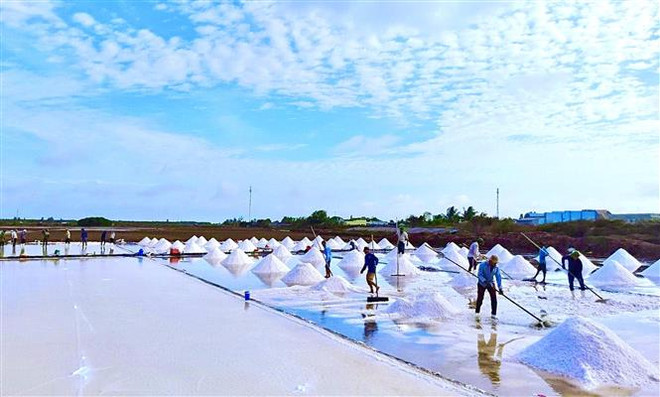 Hơn 100 năm hình thành và phát triển, hạt muối Bạc Liêu đã gắn chặt với đất, với người như một phần hương vị không thể thiếu của quê hương. (Ảnh: Chanh Đa/TTXVN) Bảo tồn và nâng giá trị cho nghề muối của diêm dân Bạc Liêu ảnh 2