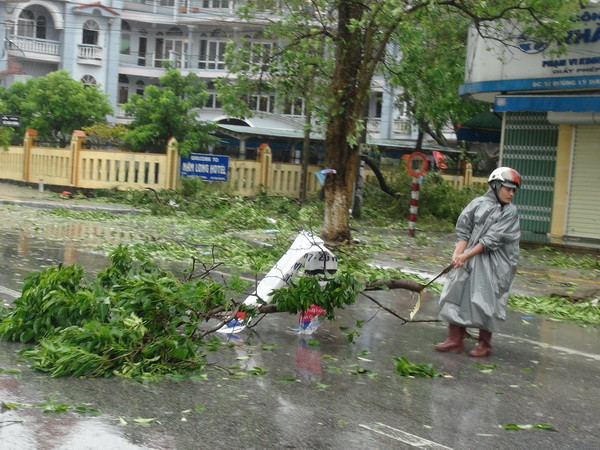 Quảng Bình huy động các nguồn lực khôi phục trường lớp sau bão số 10 ảnh 1