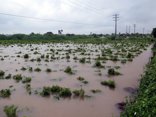 Bão số 10 đã khiến ít nhất 13 người thiệt mạng và mất tích ảnh 1