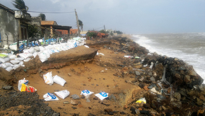 Triều cường lại “nuốt chửng” 100m đường chạy dọc biển Phú Yên ảnh 1