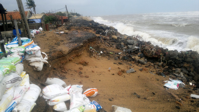 Triều cường lại “nuốt chửng” 100m đường chạy dọc biển Phú Yên ảnh 3