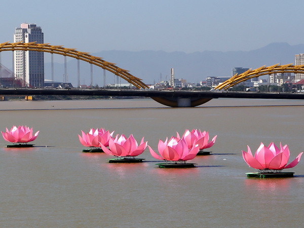 Đà Nẵng phấn đấu là một trung tâm kinh tế-văn hóa-xã hội ảnh 1