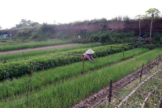 Lấy lại diện mạo Kinh thành Huế: Ngổn ngang giải phóng mặt bằng ảnh 4