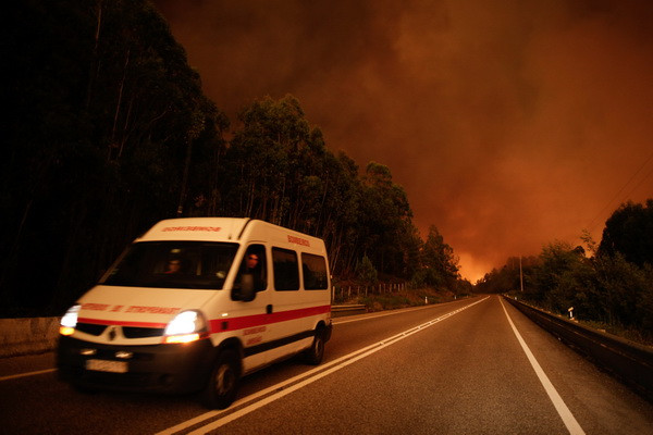 50 người thương vong trong vụ cháy rừng khủng khiếp ở Bồ Đào Nha ảnh 1