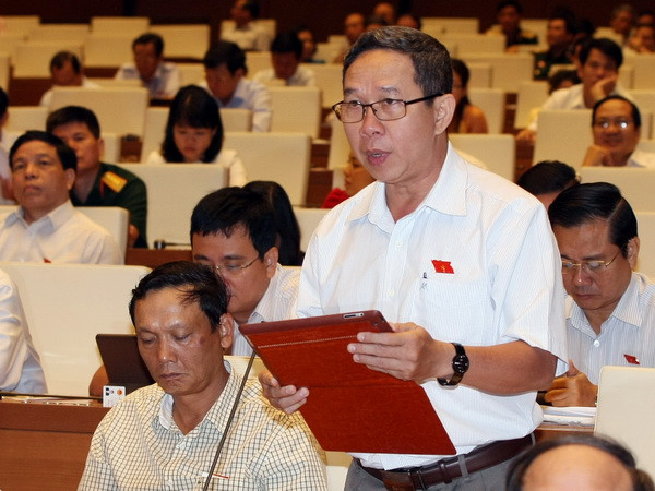 Quy định rõ tỷ lệ đại biểu cơ quan dân cử là nữ, dân tộc thiểu số ảnh 1