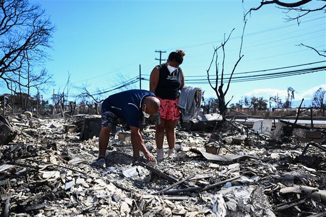 Thảm họa cháy rừng ở Hawaii: Con số thương vong sẽ còn tăng ảnh 1