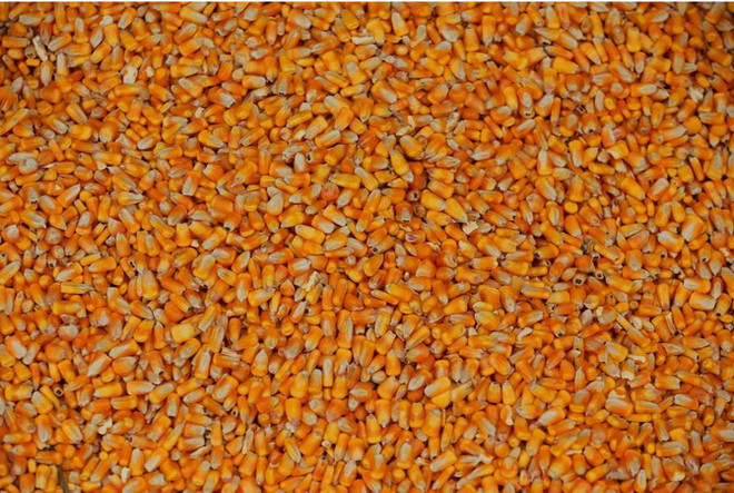 Trung Quốc nâng thuế nhập khẩu mặt hàng ethanol từ Mỹ lên 45% ảnh 1