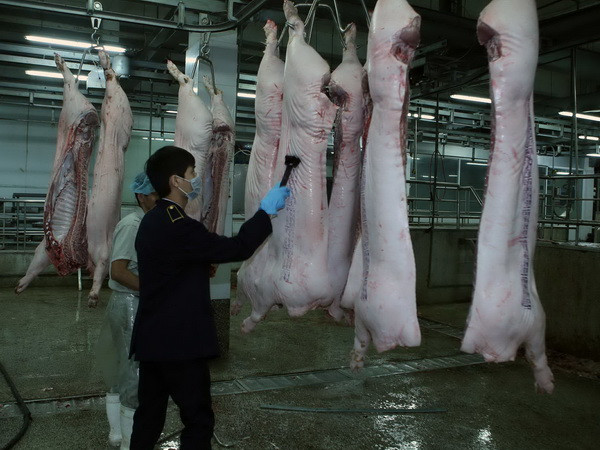 Ninh Thuận đầu tư 16,5 tỷ đồng xây dựng cơ sở giết mổ hiện đại ảnh 1