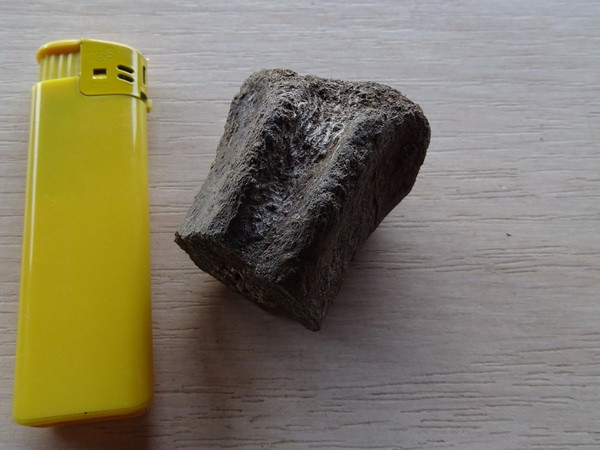 Bulgaria: Tìm thấy hóa thạch nhiều động vật cách đây 83 triệu năm ảnh 1